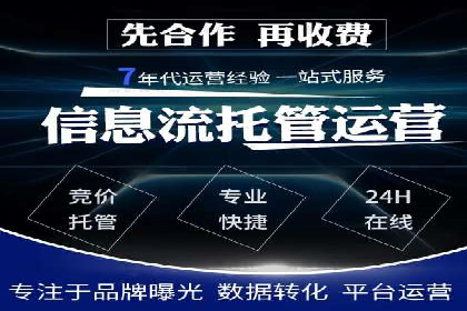 网络推广竞价策略解析与应用案例