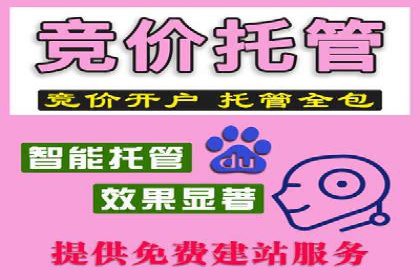搜索引擎营销新篇章：SEM竞价推广的五大经典案例